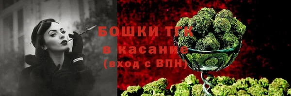 дурь Лабытнанги