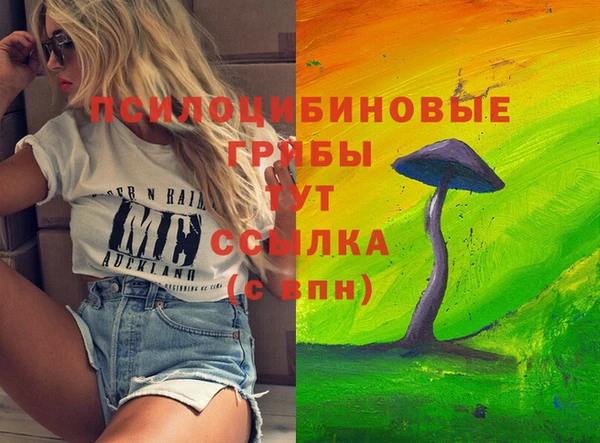 соль курить ск Ладушкин