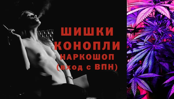 дурь Лабытнанги