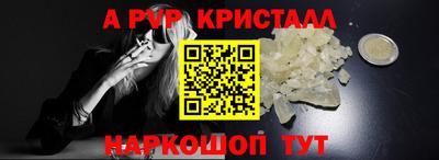 бошки Кингисепп