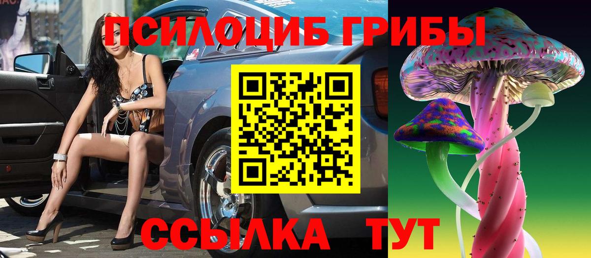 Псилоцибиновые грибы мухоморы Лесной